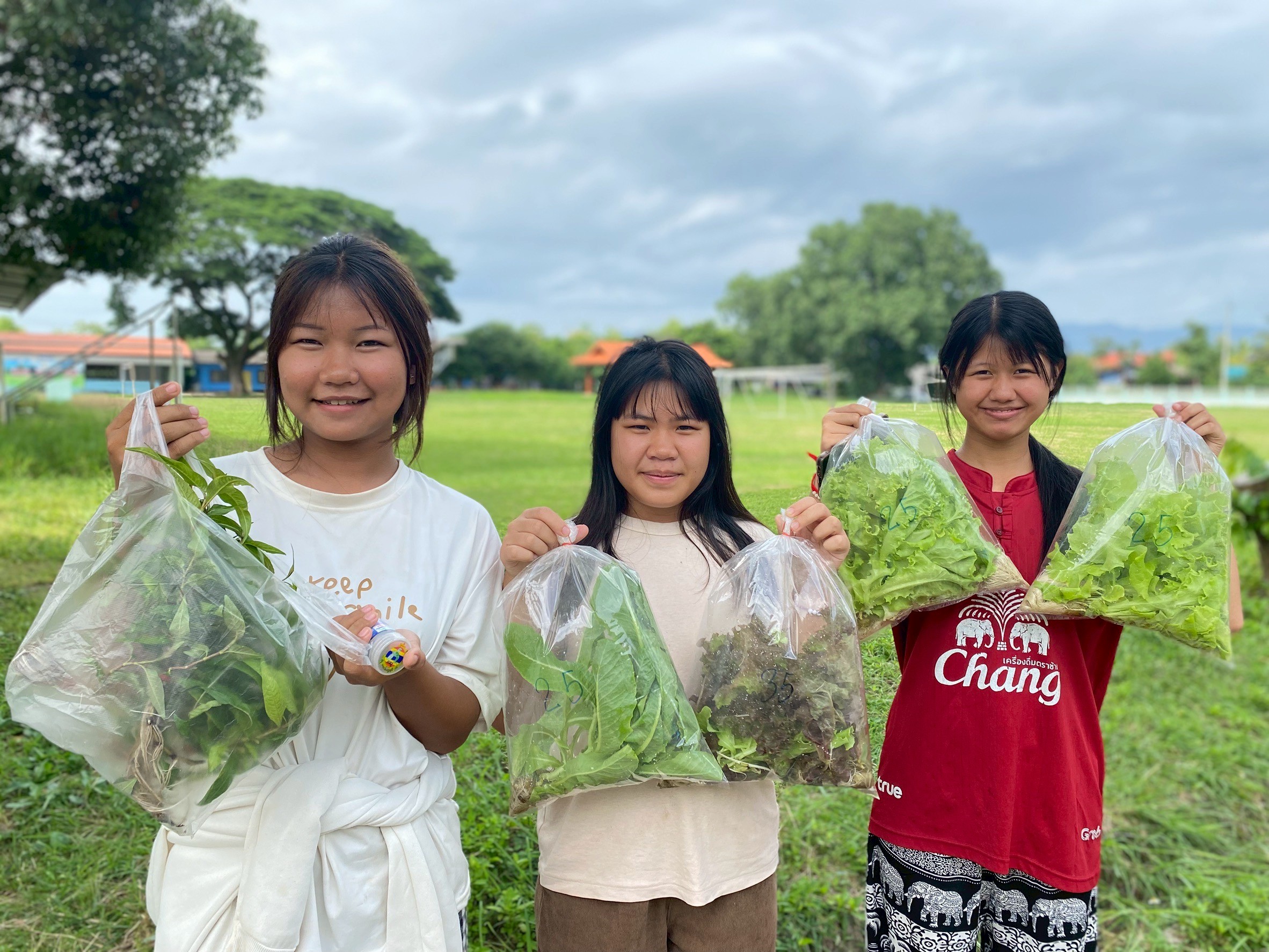โรงเรียนบ้านปาง น้อมนำพระบรมราโชบายด้านการศึกษา สู่การปฏิบัติที่เป็นเลิศด้านการมีงานทำ มีอาชีพ ผ่านกิจกรรมการเรียนรู้ “ปลูกผักไร้ดิน”
